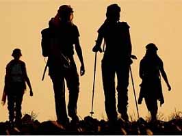 Trekking Tours
